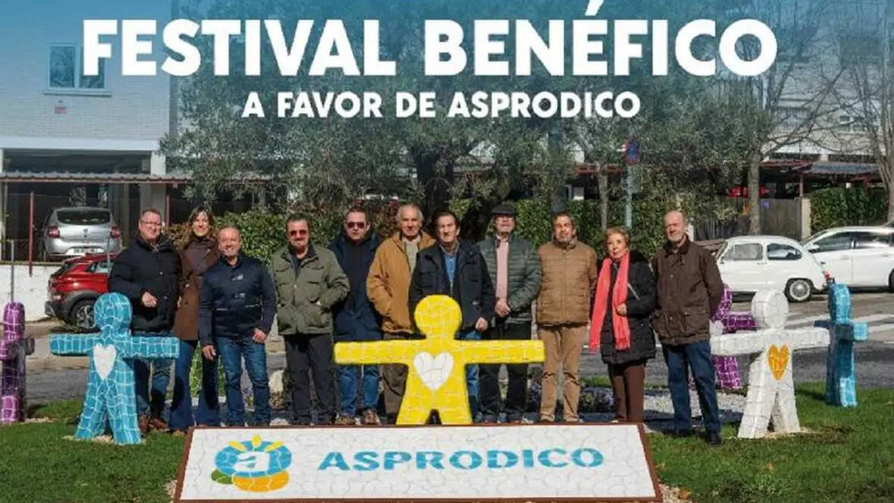 festival de artistas de Colmenar Viejo a favor de Asprodico