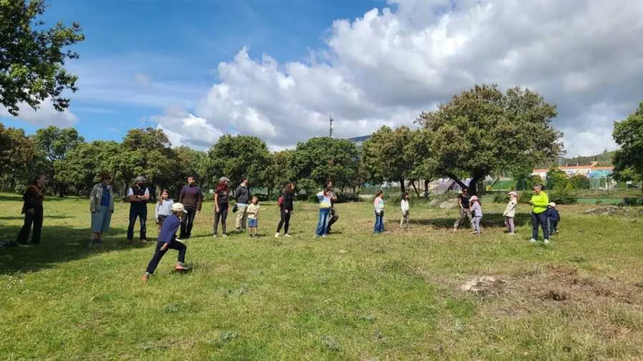 actividad medio ambiente miraflores