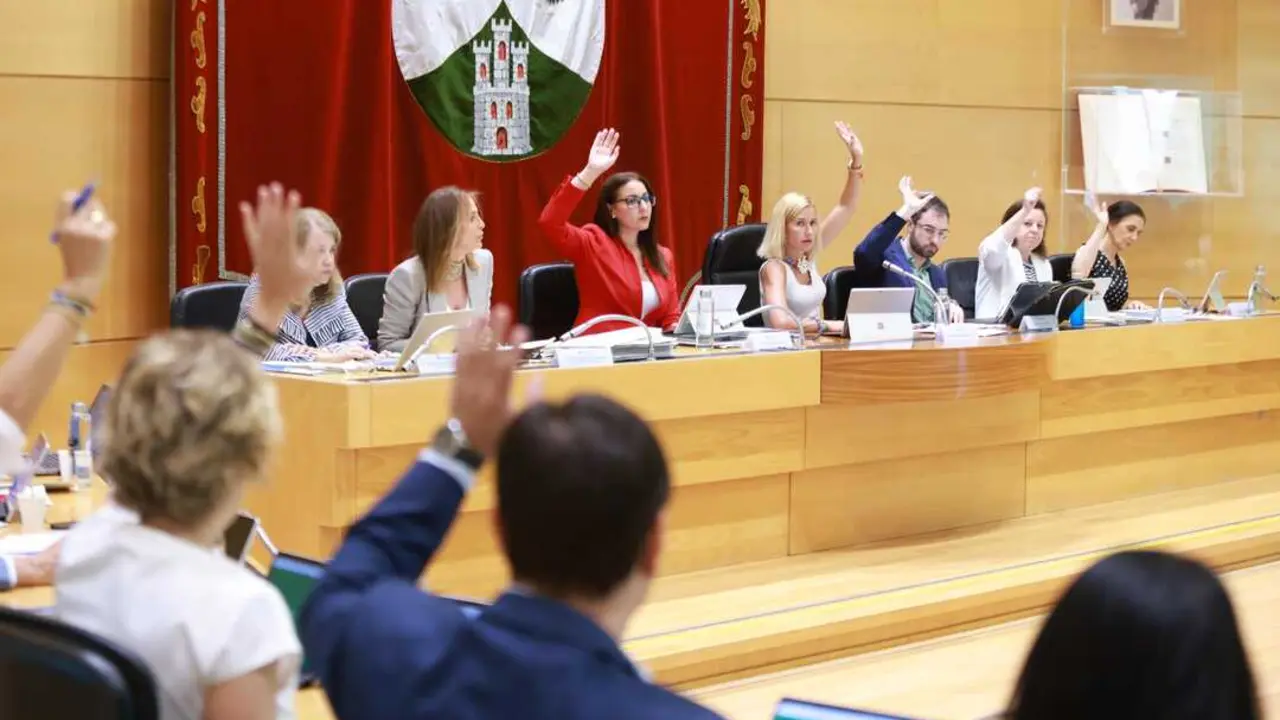 pleno.4.jpg