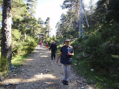Alcobendas propone este fin de semana una salida senderista por Cercedilla