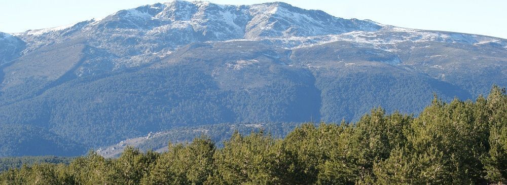 La Morcuera