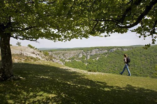 Los agentes forestales madrileños piden más agentes para proteger el Parque del Guadarrama