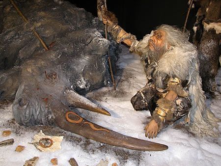 neandertal expo