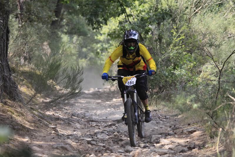rbt 2014
